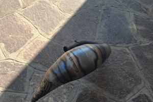 Stage6 R/T 80-90cc Passaggio Alto AM6