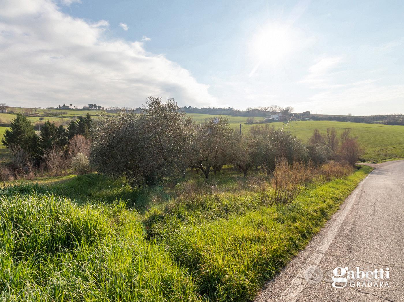 Terreno Agricolo San Giovanni in Marignano - Vista 4