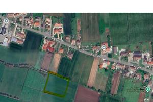 Terreno Agricolo Cologna Veneta