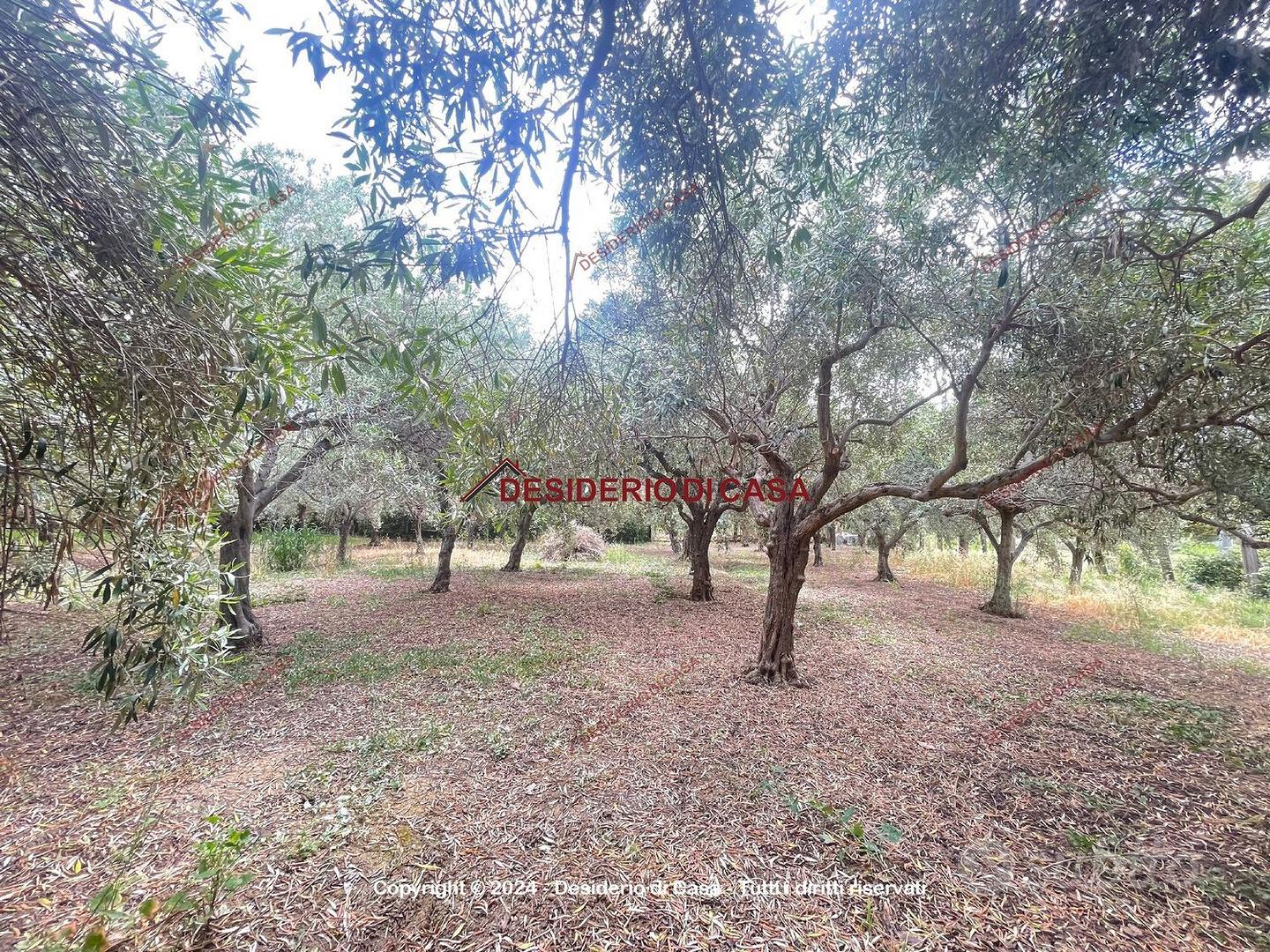 Terreno, Campofelice di Roccella. - Vista 4