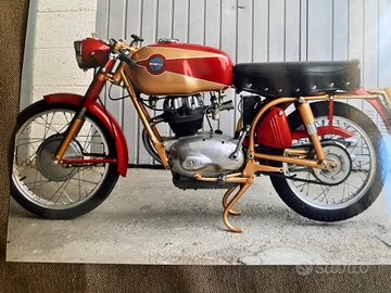 Morini benelli bianchi