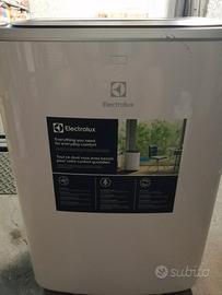 Electrolux condizionatore portatile