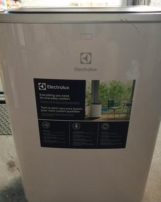 Electrolux condizionatore portatile