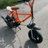 Graziella con blocco minarelli