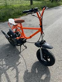 Graziella con blocco minarelli