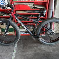 bici fuoristrada