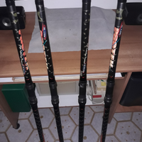 Quattro canne da surf casting con mulinello