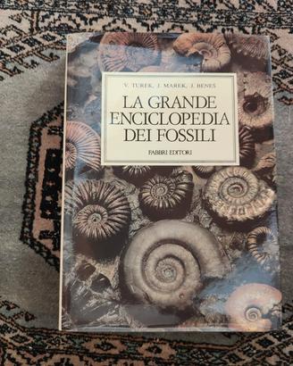 La grande enciclopedia dei fossili