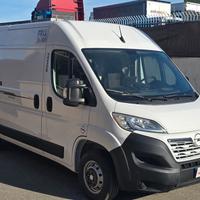 OPEL MOVANO 114.000 km anno 2022