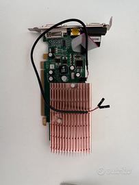 Scheda video Nvidia G100