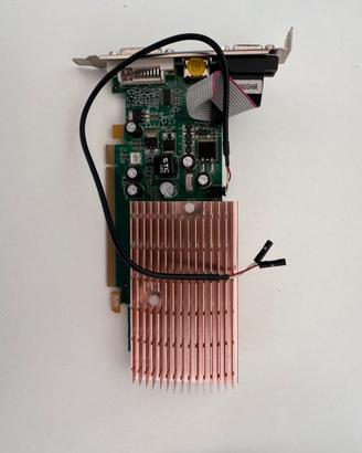 Scheda video Nvidia G100