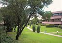 mare-toscana-giardino-piscina-bilo13-27-giugno-890