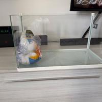 Acquario completo con filtro esterno, lampada RGB,