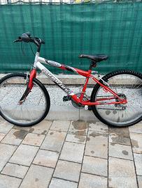 Bici raggio 24