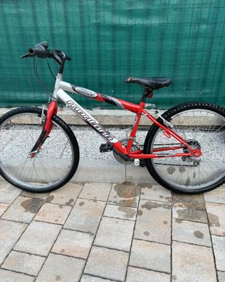 Bici raggio 24
