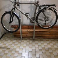 Bicicletta “muscolare” telaio titanio