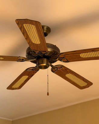 Ventilatore a soffitto