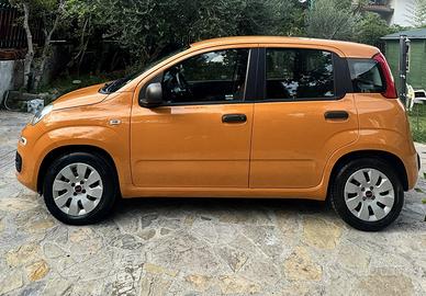 Fiat panda 1.2 gpl