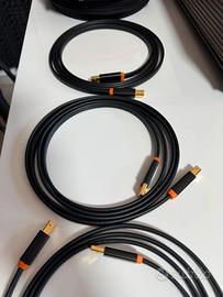 2 x Neo Oyaide USB classe a 2 metri