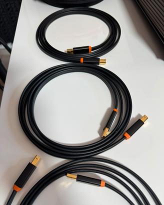 2 x Neo Oyaide USB classe a 2 metri