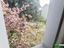 Immagine 23