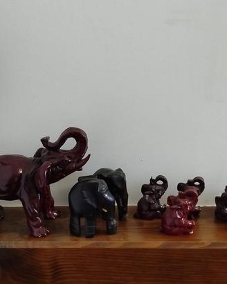 Elefanti, buona fortuna collezione unica