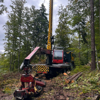 Teleferica forestale