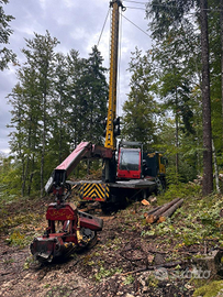 Teleferica forestale