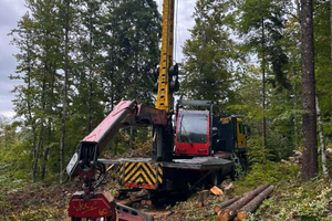 Teleferica forestale