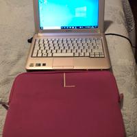 Minibook Sony Vaio da 13”