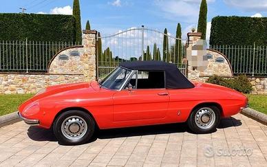 Alfa Romeo Spider Osso di seppia 1750