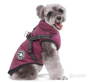 Cappotino per cane