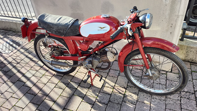 Moto Guzzi cardellino