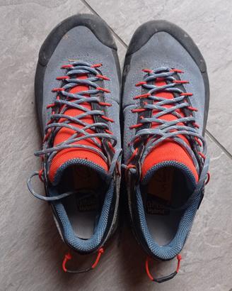 tx4 evo woman gtx moonlight cherry tomato