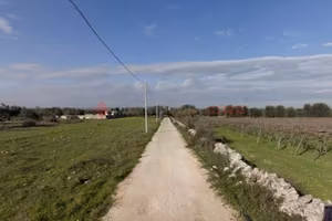 Terreno Agricolo Francavilla Fontana [LM2650.2VRG]