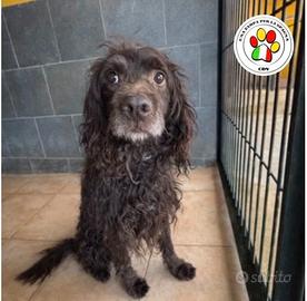 MARLON che musino dolce