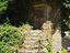Immagine 30