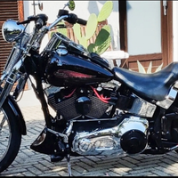 Springer Softail FXSTS