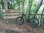 Immagine 2