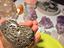 Immagine 6