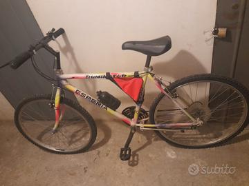 bicicletta 