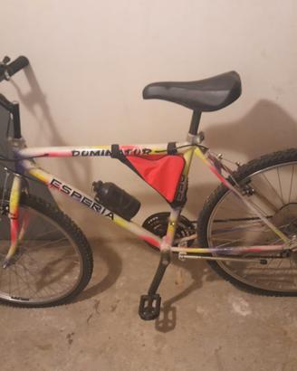 bicicletta 