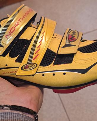scarpe ciclismo northwave evolution tg 43.5