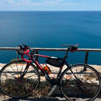 Merida Scultura Carbon