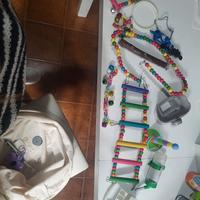 accessori pappagalli 
