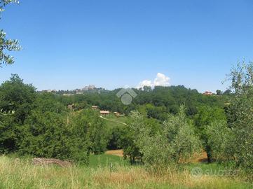 TER. AGRICOLO A POGGIO CATINO