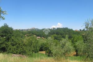 TER. AGRICOLO A POGGIO CATINO
