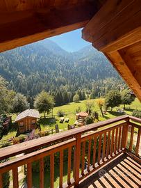 LAST MINUTE bilocale 4 posti 08/09-12/09