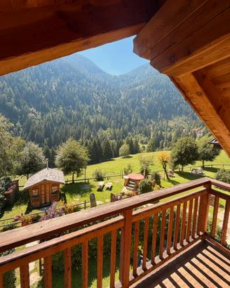 LAST MINUTE bilocale 4 posti 08/09-12/09