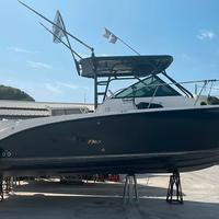 Bayliner Trophy 2502 WA+2x150 hp Mercury (RIBASSO)